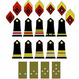 The French army insignia