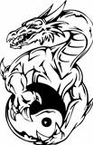 Dragon tattoo with yin-yang sign