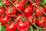 Background of Ripe Cherry Tomatoes