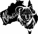 Koala as Australian symbol
