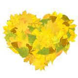 Heart from autumn leaves