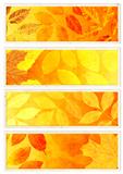 Collection of autumn banners