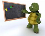 tortoise with school chalk board