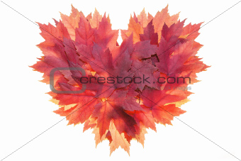 Red Maple Leaves Formed Heart Shape