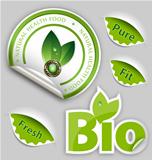 Vector Organic Food, Eco, Bio Labels and Elements