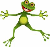 happy green frog