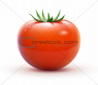 Red fresh tomato