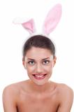 girl in sexy bunny costume 