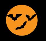 bats int moon light