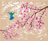 blossom branches and hummingbird