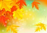 Autumn background with leaves. Vector nature background.