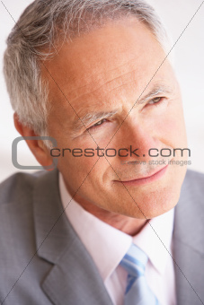 Portrait Of Senior Businessman