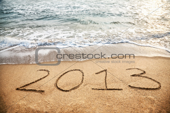 2013 New year