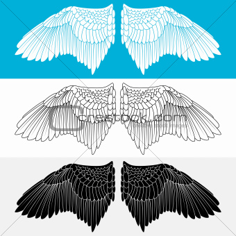 Wing. Vector illustration