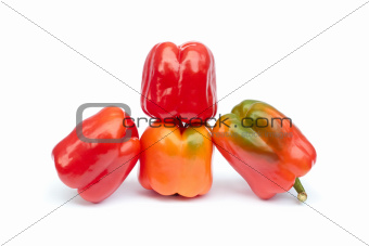 Fruits of sweet pepper on white