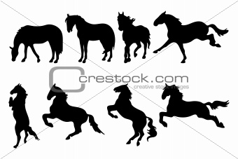 Various horse silhouettes on white
