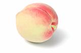 Fresh Peach Fruit 