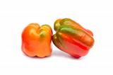 Two sweet pepper on white