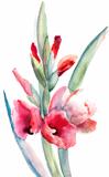 Beautiful flowers, Watercolor painting 