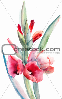 Beautiful flowers, Watercolor painting 
