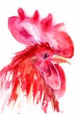 Rooster, watercolor illustration