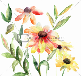 Watercolor illustration with beautiful flowers