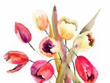 Tulips flowers, Watercolor painting 