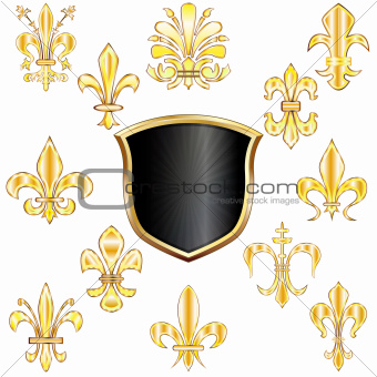 Fleur-de-lis and shield
