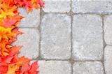Oak Leaves Border Over Stone Bricks