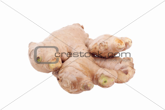 Gingers root