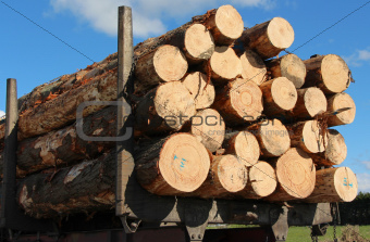 Logging Load