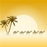 Camels and Palms