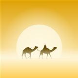 Two Camels and Sun