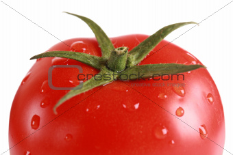Closeup of a fresh tomato
