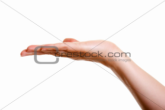 Woman's hand, palm up