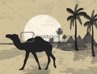 Camel and palms on grunge background