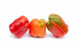 Three sweet peppers on white