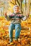 excited little boy on a swing outdoor, autumn leaves on background