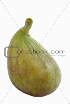 green fig