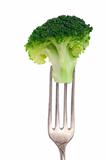 broccoli on a fork isolated on white 