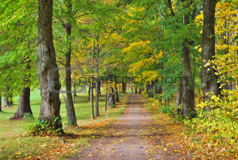 Finland, Hameenlinna. Park Aulanko in autumn