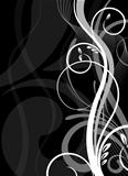 black and white floral vector