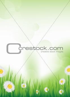 vector spring design / background