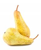 Pair of ripe pears