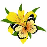 Butterfly on a flower-1