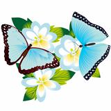 Butterfly on a flower-5