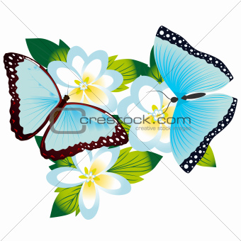 Butterfly on a flower-5