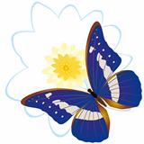 Butterfly on a flower-8