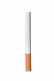 One Cigarette isolated on the white background