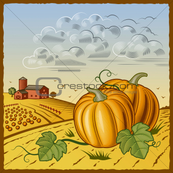 Landscape with pumpkins